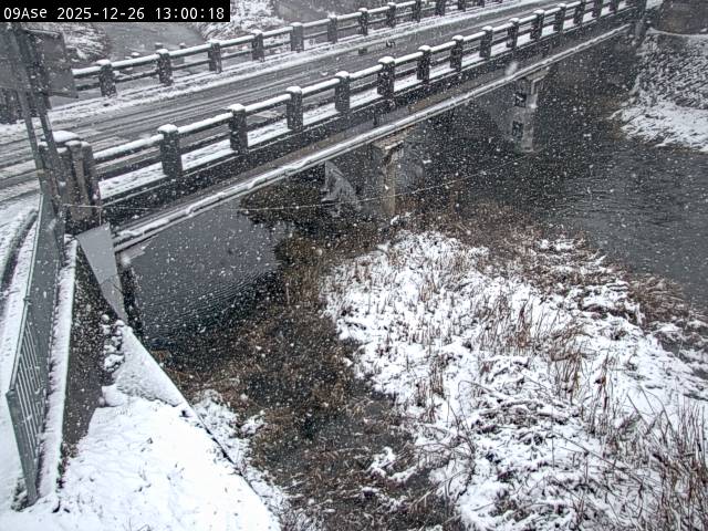 最新監視カメラ画像