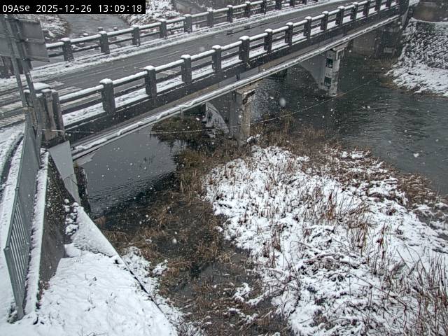 最新監視カメラ画像