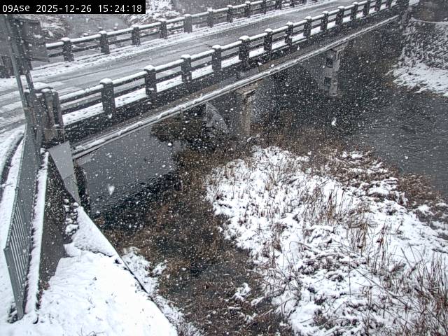 最新監視カメラ画像