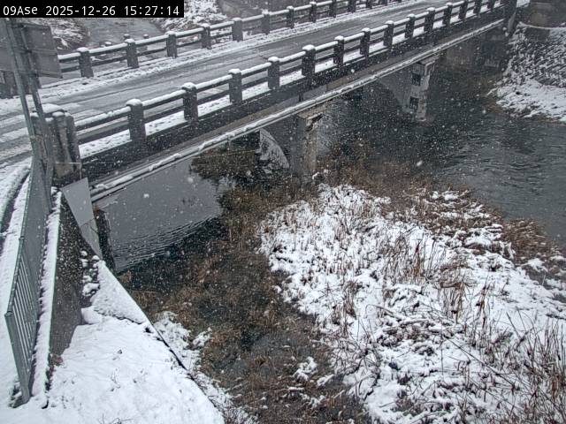 最新監視カメラ画像