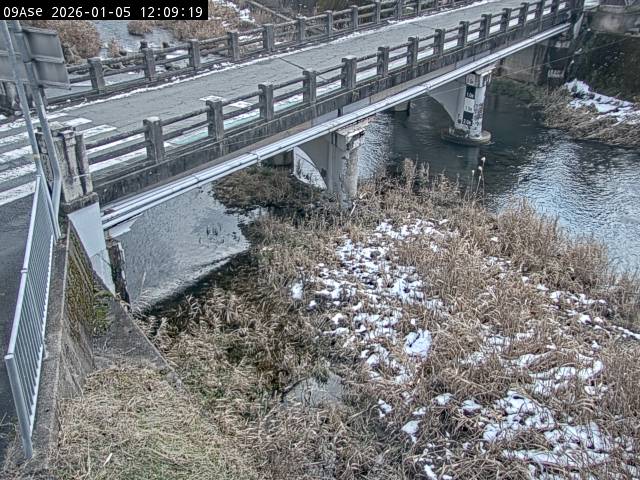 最新監視カメラ画像