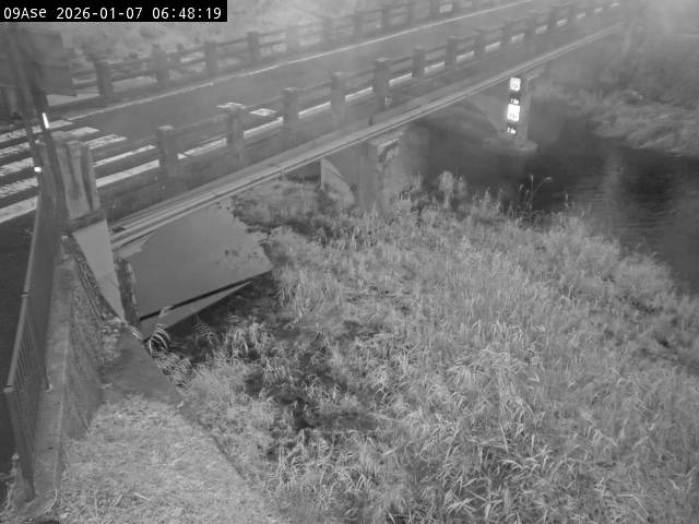 最新監視カメラ画像