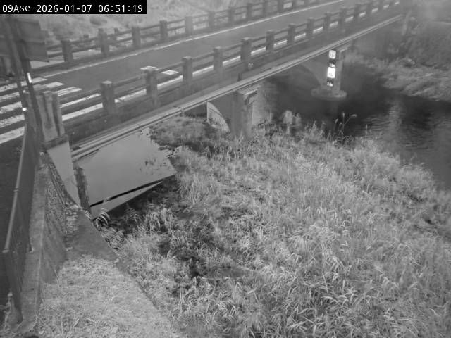 最新監視カメラ画像