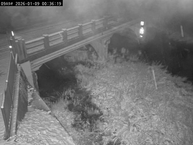 最新監視カメラ画像