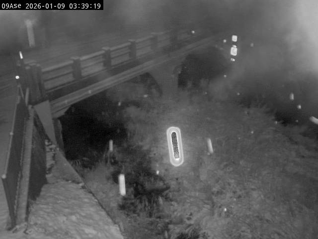 最新監視カメラ画像