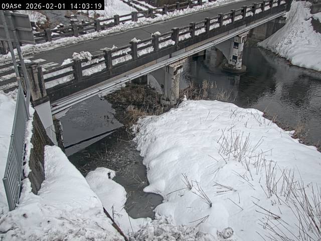 最新監視カメラ画像