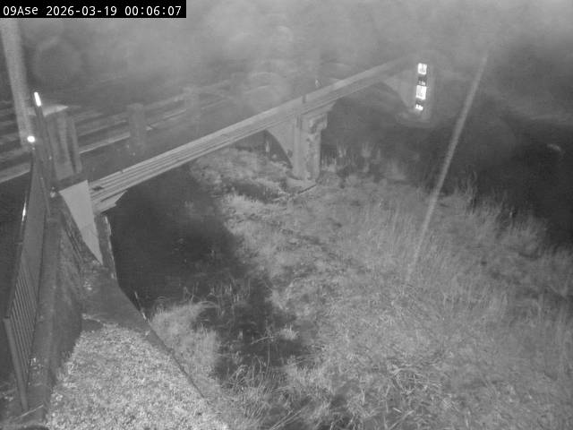 最新監視カメラ画像