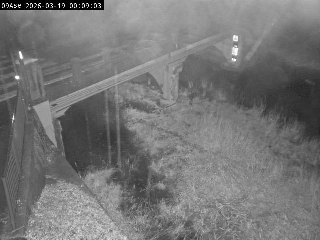 最新監視カメラ画像