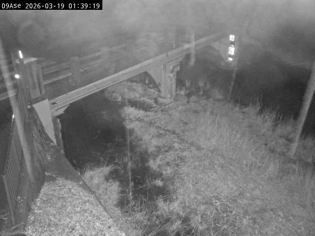 最新監視カメラ画像