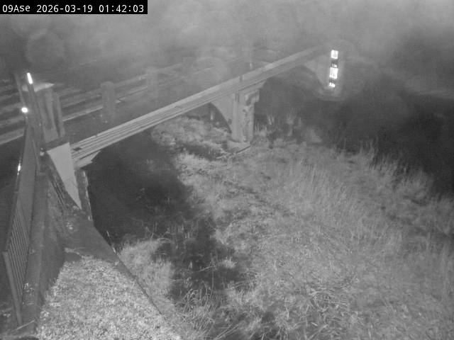 最新監視カメラ画像