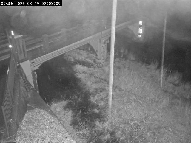 最新監視カメラ画像