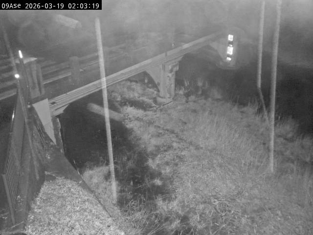 最新監視カメラ画像