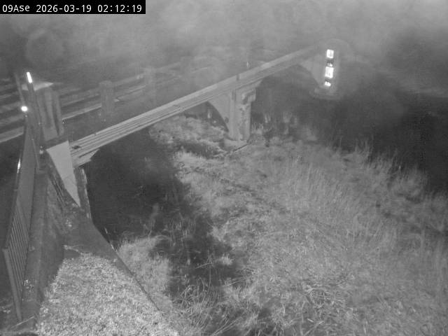 最新監視カメラ画像