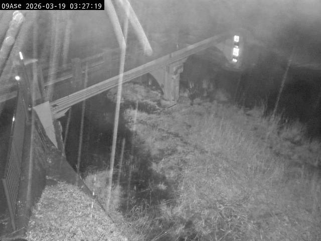 最新監視カメラ画像