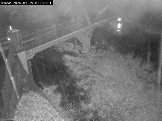 最新監視カメラ画像