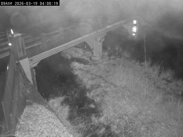 最新監視カメラ画像