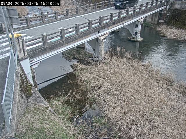 最新監視カメラ画像