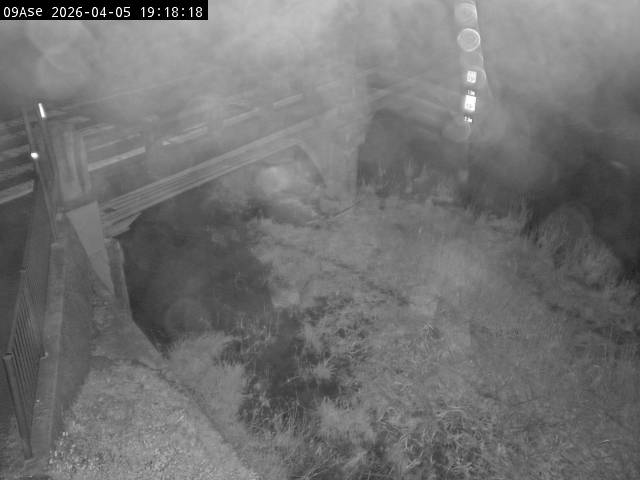 最新監視カメラ画像