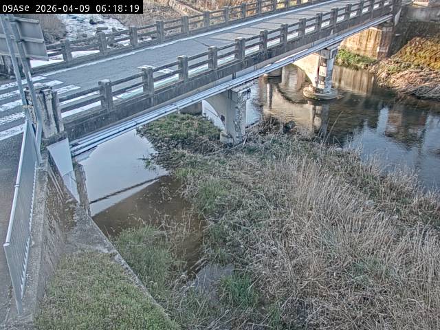 最新監視カメラ画像