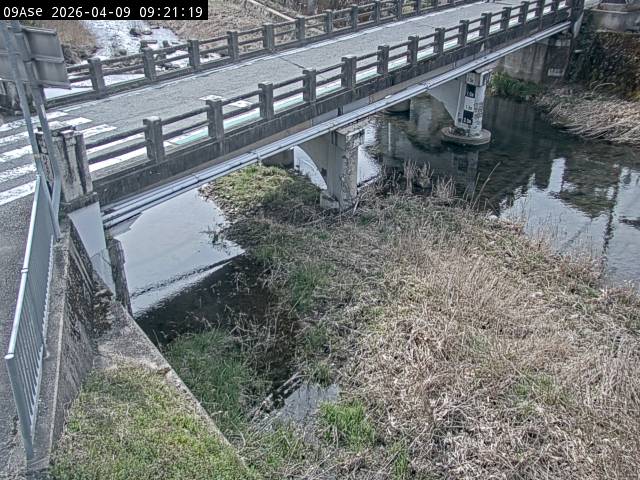 最新監視カメラ画像