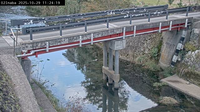 最新監視カメラ画像