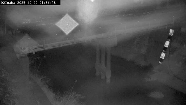 最新監視カメラ画像