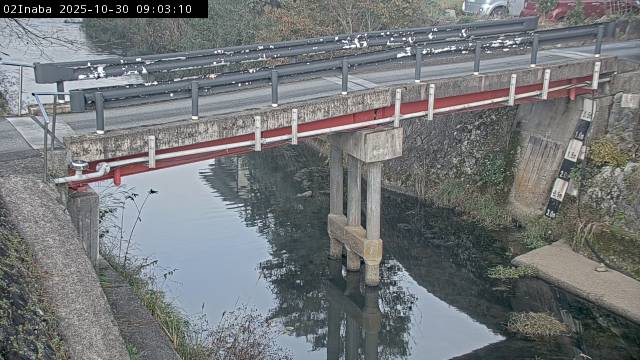 最新監視カメラ画像