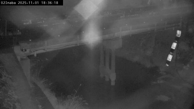 最新監視カメラ画像