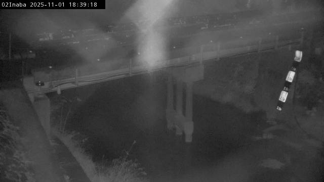 最新監視カメラ画像