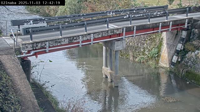 最新監視カメラ画像