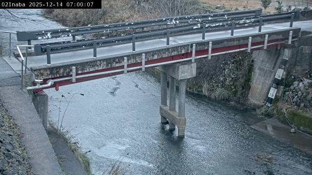 最新監視カメラ画像