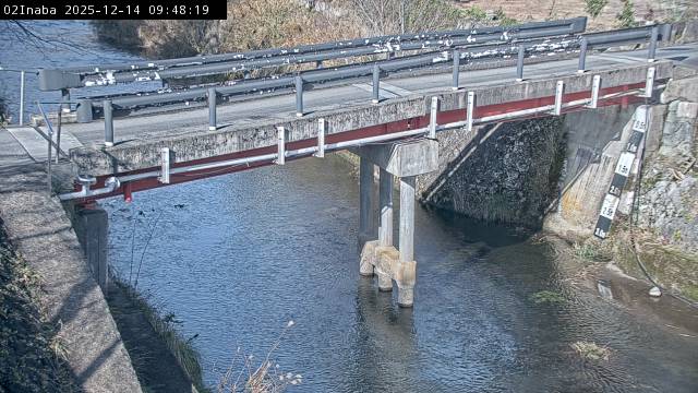 最新監視カメラ画像