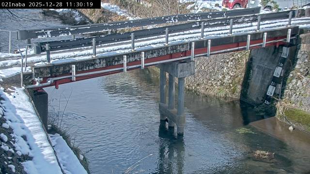 最新監視カメラ画像