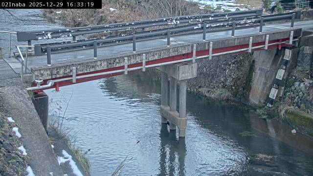 最新監視カメラ画像