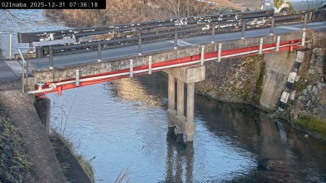 最新監視カメラ画像