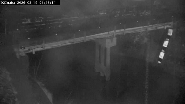 最新監視カメラ画像