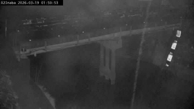 最新監視カメラ画像