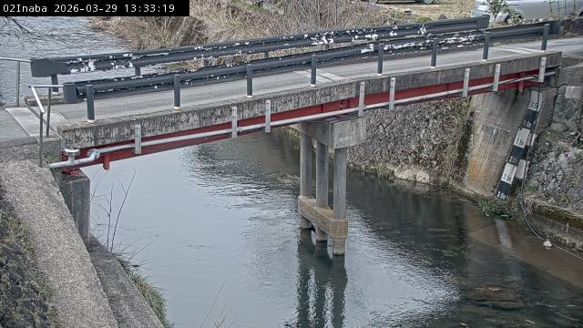 最新監視カメラ画像