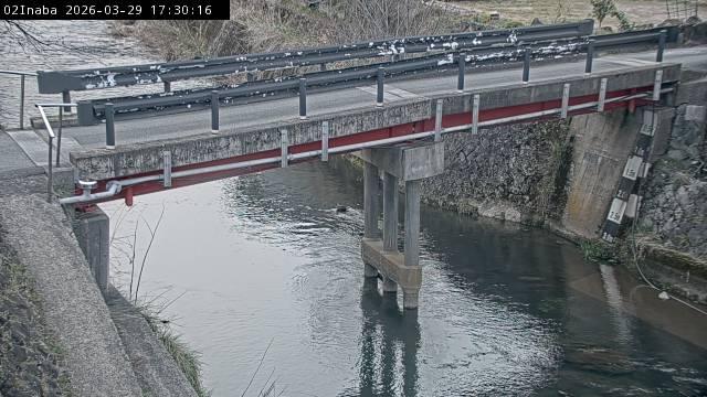 最新監視カメラ画像