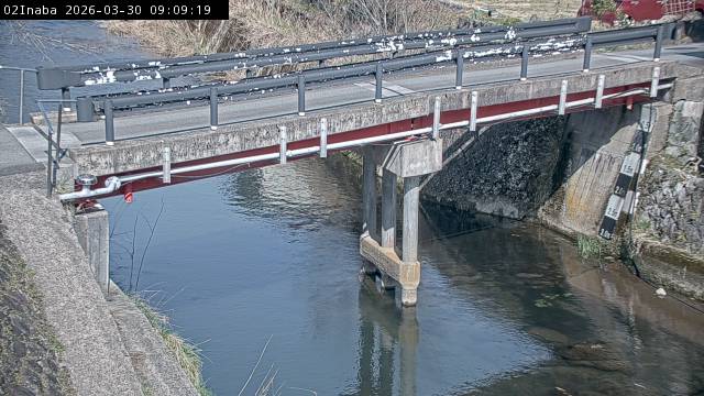 最新監視カメラ画像