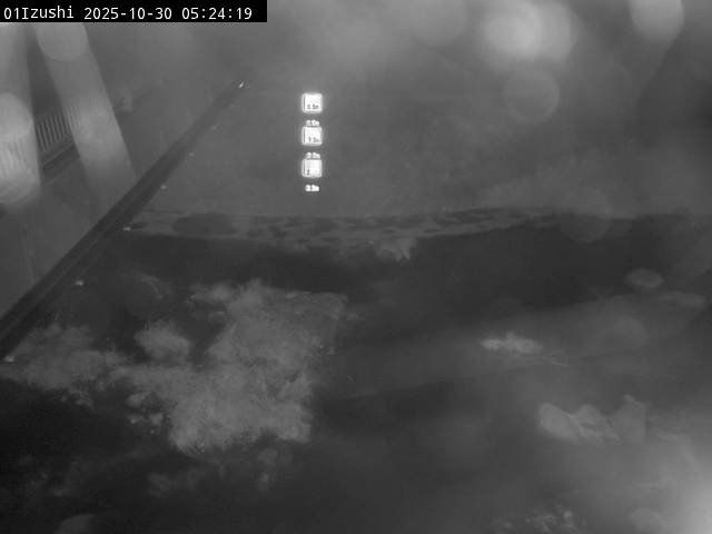 最新監視カメラ画像