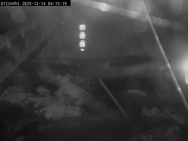 最新監視カメラ画像