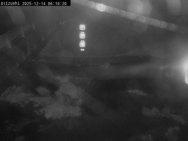 最新監視カメラ画像