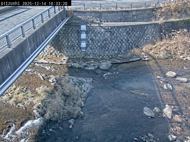 最新監視カメラ画像