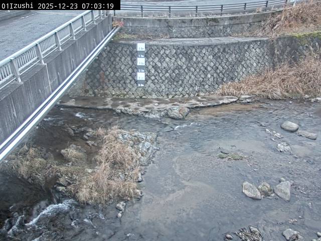 最新監視カメラ画像