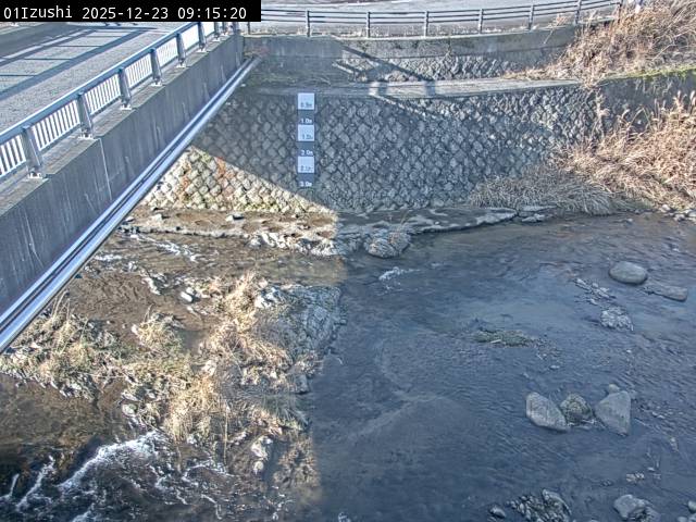 最新監視カメラ画像