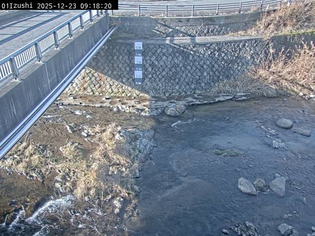 最新監視カメラ画像