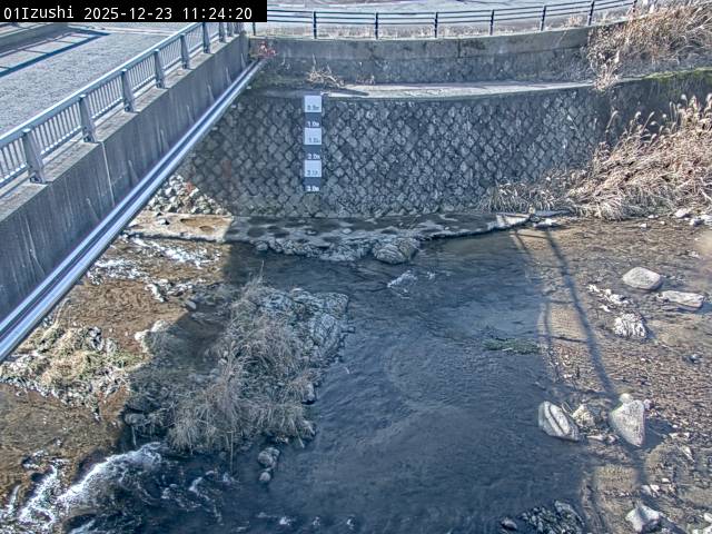 最新監視カメラ画像