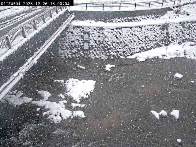 最新監視カメラ画像