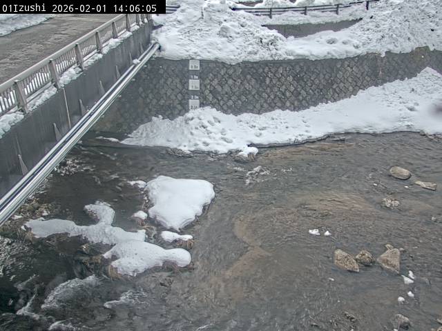 最新監視カメラ画像